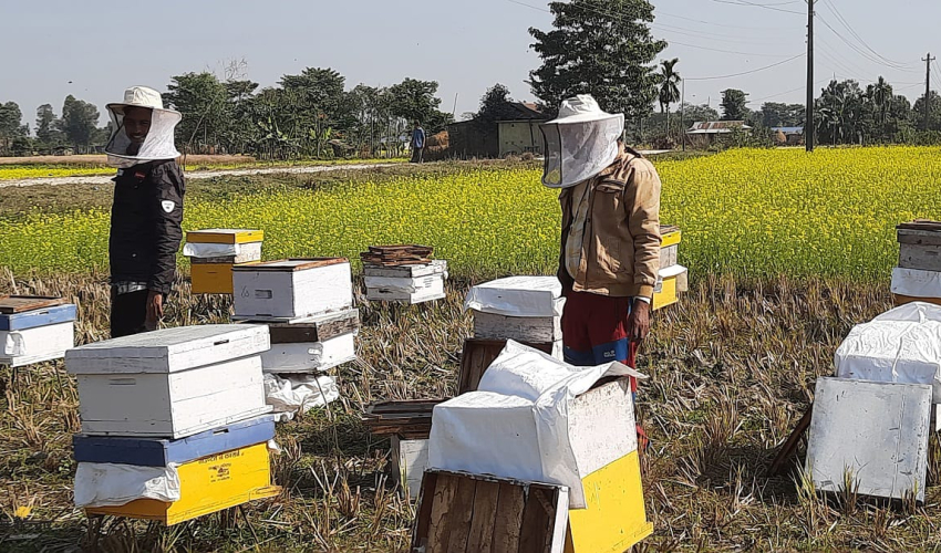 महबाटै करोडको कारोबार गर्नुहुन्छ विनोद हमाल