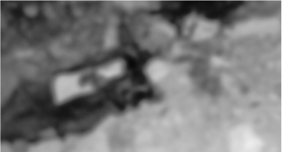 बाजुरामा ढुंगाले हानेर बुवा-छाेराले गरे युवकको हत्या