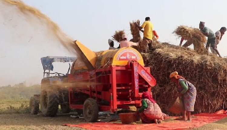 कैलालीमा गहुँ दाउने थ्रेसरमै धामीको हात च्यापिँएपछि