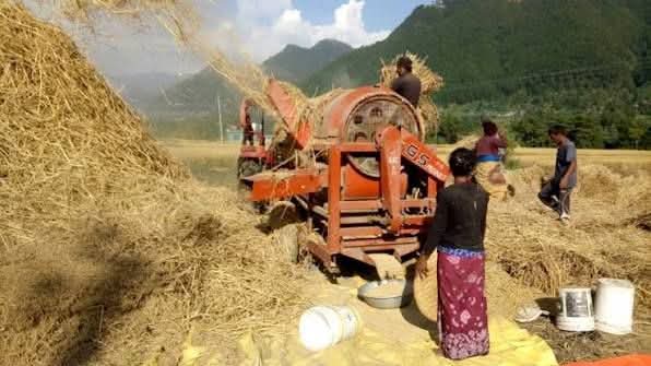 कैलालीमा थ्रेसरमा दोपट्टा बेरिँदा महिला गम्भीर घाइते