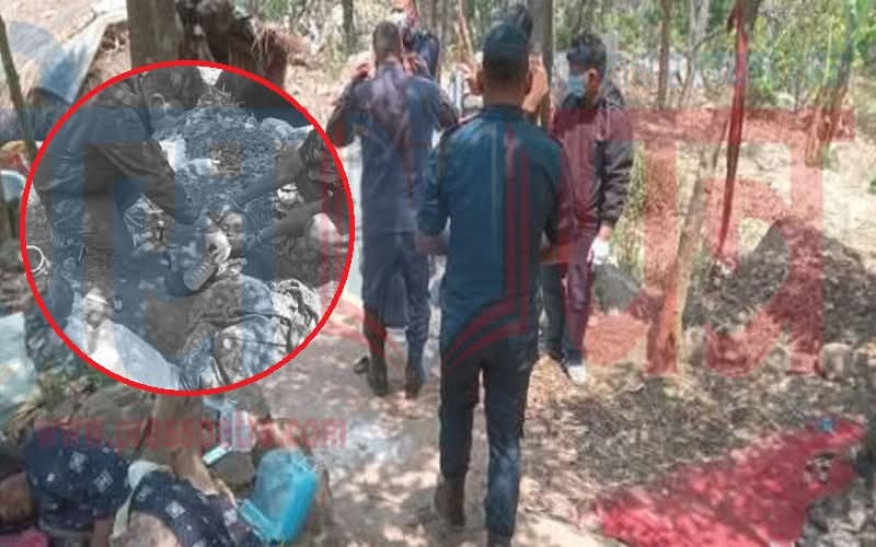  कैलालीमा मरेको बोइलरको मासु खादा सहोदर दाजुभाइको मृत्यु, आमा र कान्छो भाइ पनि बिरामी 