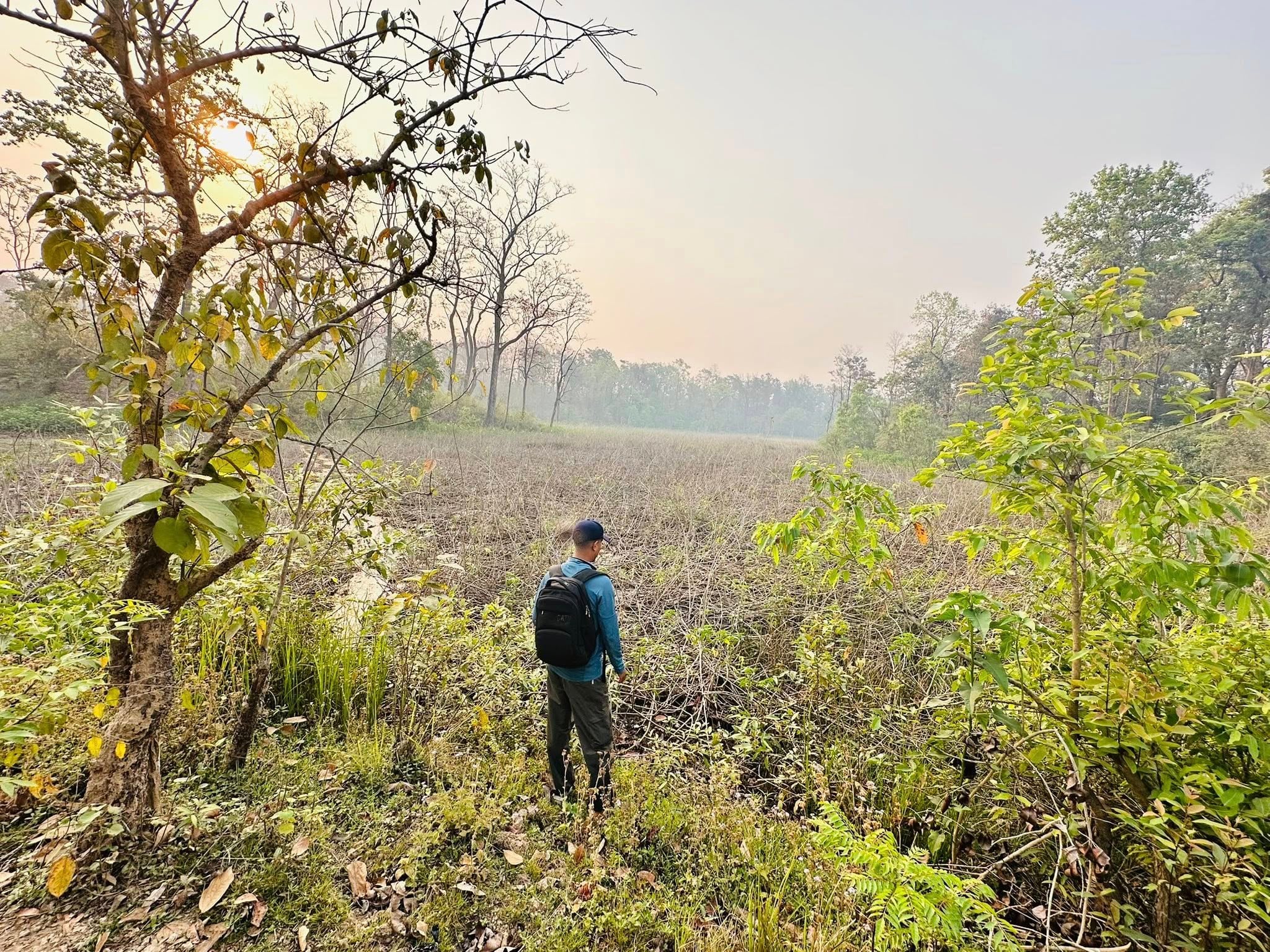 घोडाघोडीमा ‘बेसरम’ विस्तारः  संकटतर्फ धकेलिँदै ताल